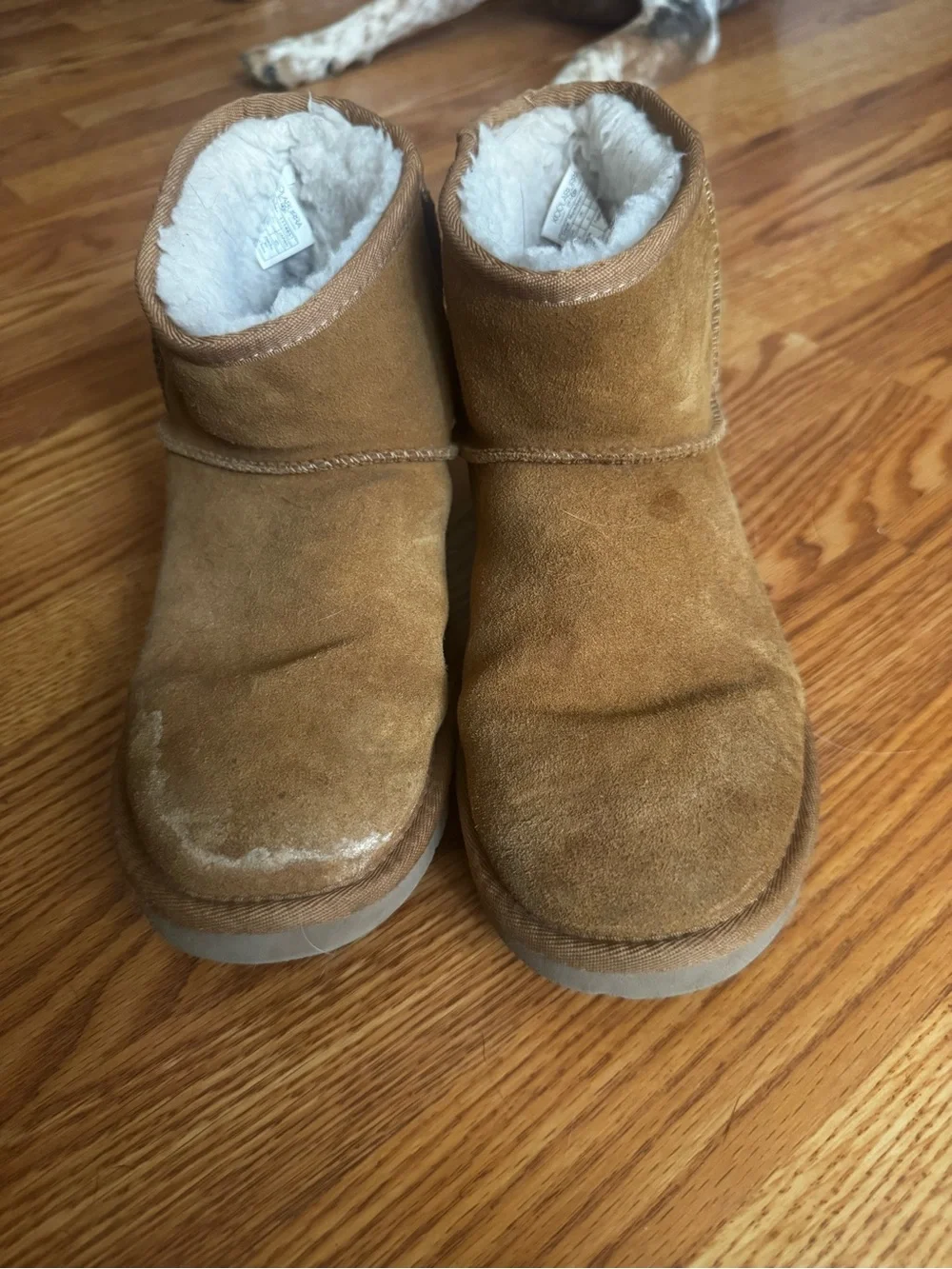 Koolaburra Chestnut Suede Boot